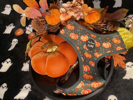 Harvest Pumpkin Patch Puppy Dog Harness (Autumn)