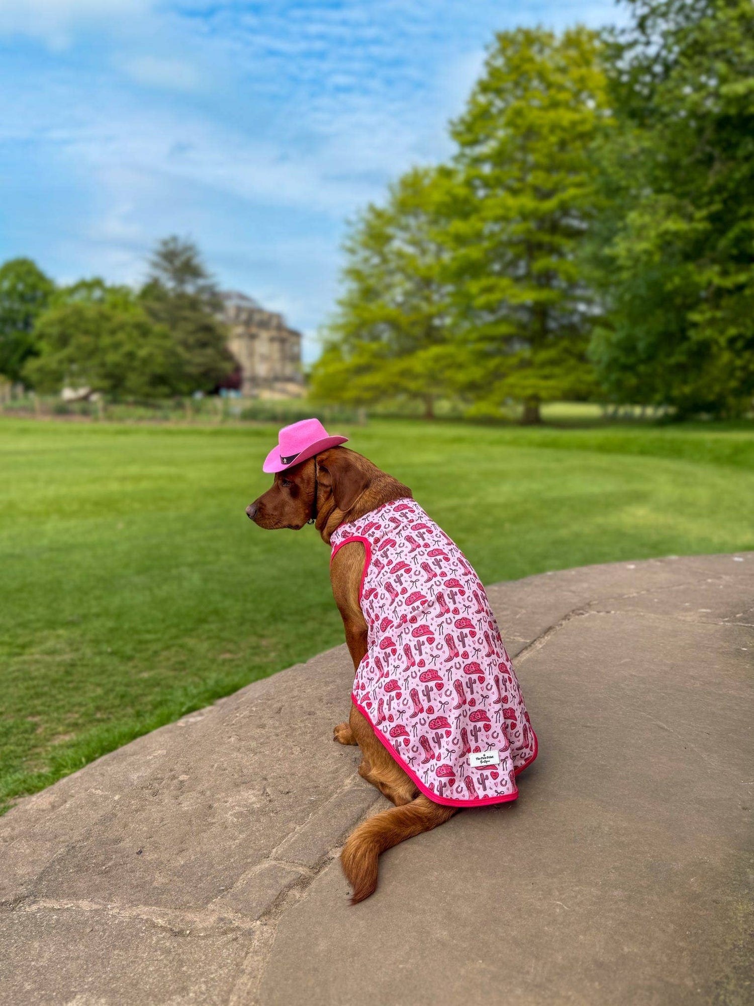 Hot Dog Summer