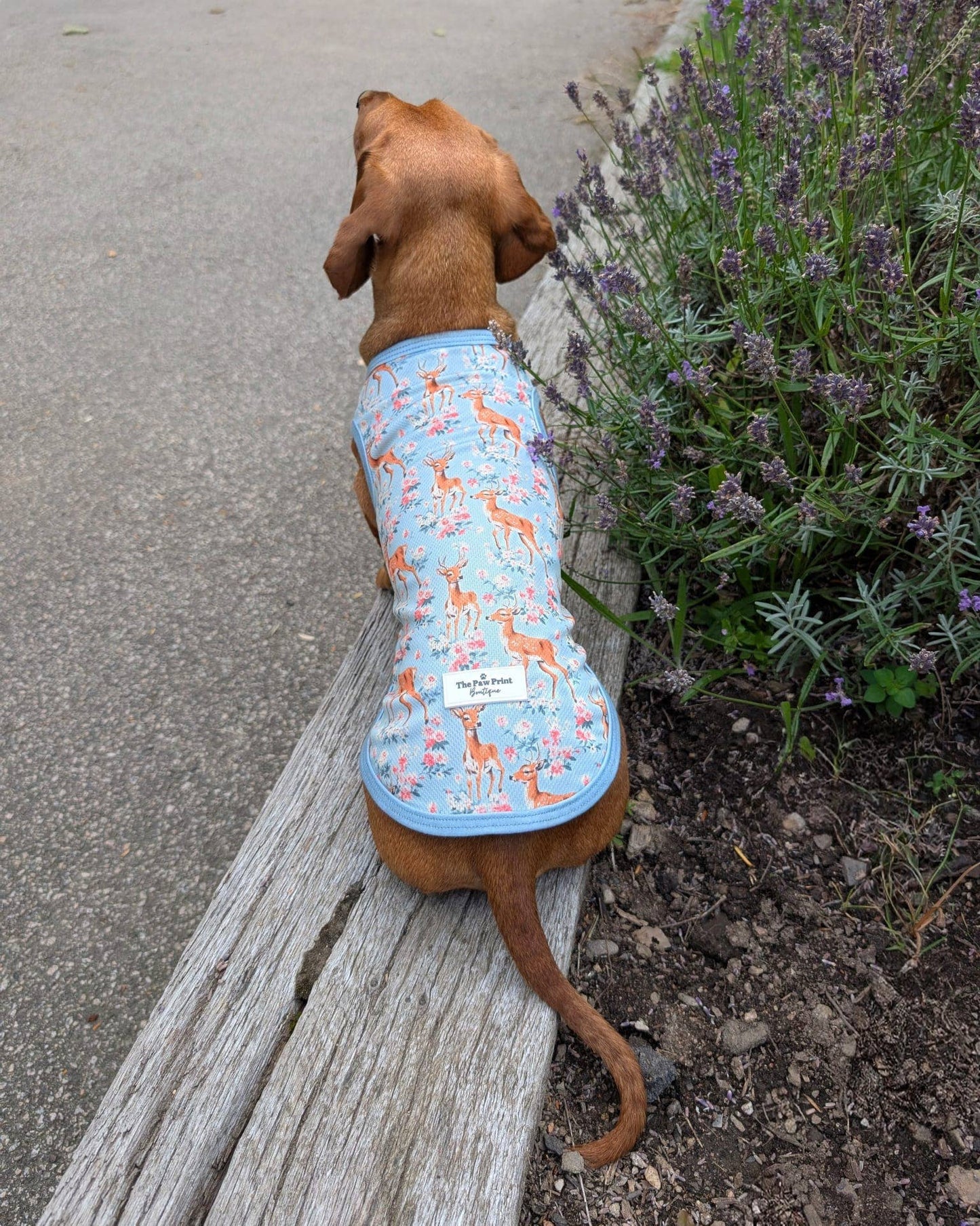 Bambi in Bloom Cooling Vest