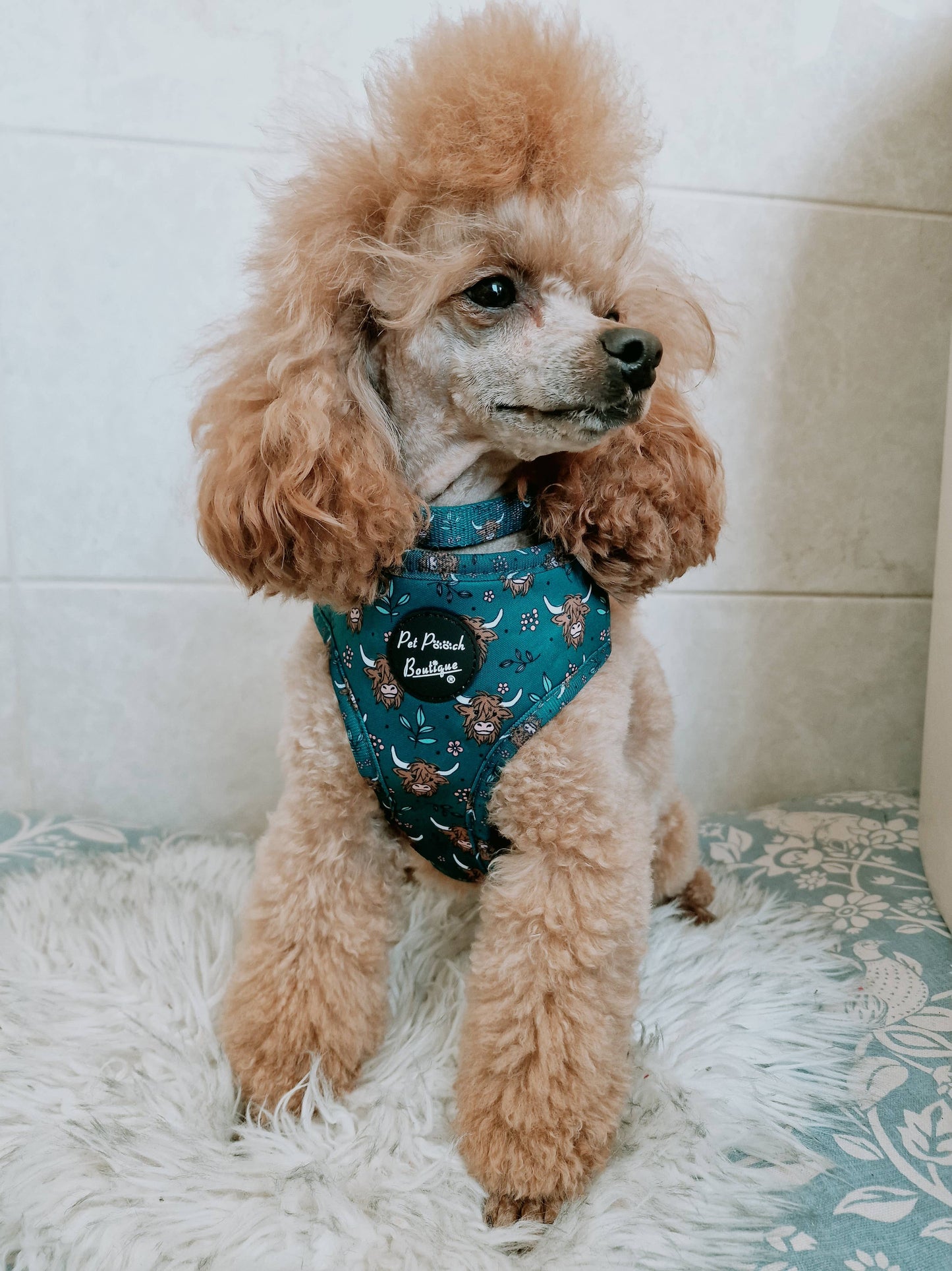 Happy Highland Cow Puppy Dog Harness (Harness Only)