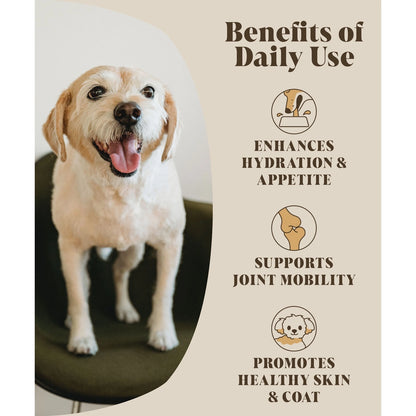 Bone Broth For Dogs | Dog Gravy Food Topper For Picky Eaters