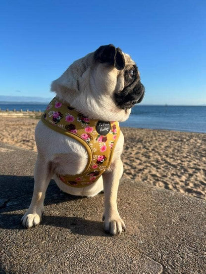 Vintage Yellow Buttercup Peonies Floral Puppy Dog Harness
