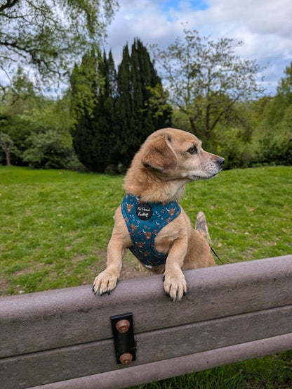 Happy Highland Cow Puppy Dog Harness (Harness Only)