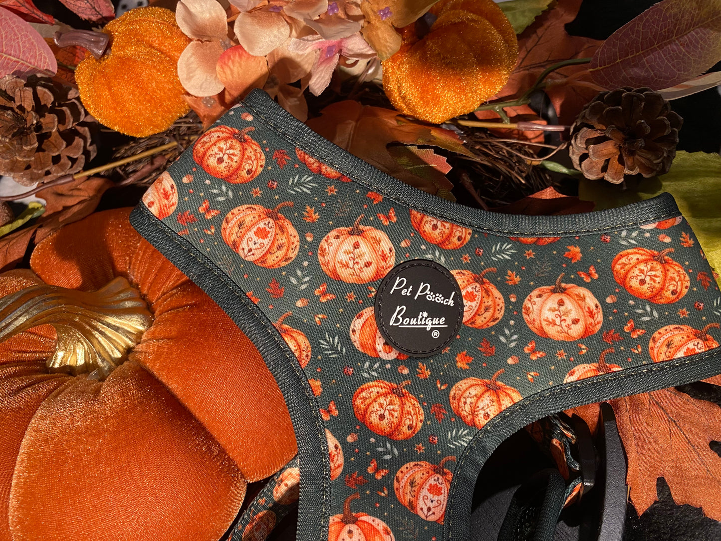 Harvest Pumpkin Patch Puppy Dog Harness (Autumn)