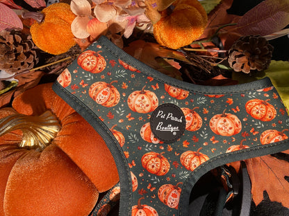 Harvest Pumpkin Patch Puppy Dog Harness (Autumn)