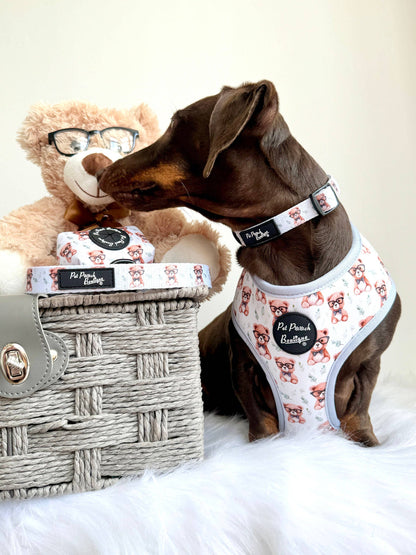 Rusty Bear Puppy Dog Collar