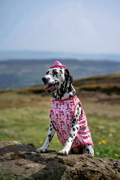 The Giddy up Pup Cooling Vest