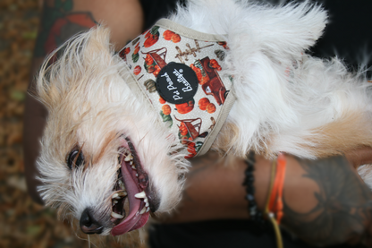 Pumpkin Patch Cart Puppy Dog Harness (Autumn/Fall)