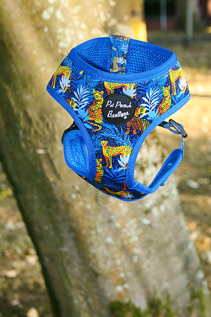 Wild Spirit Aqua Blue Leopard Dog Harness