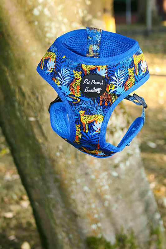 Wild Spirit Aqua Blue Leopard Dog Harness
