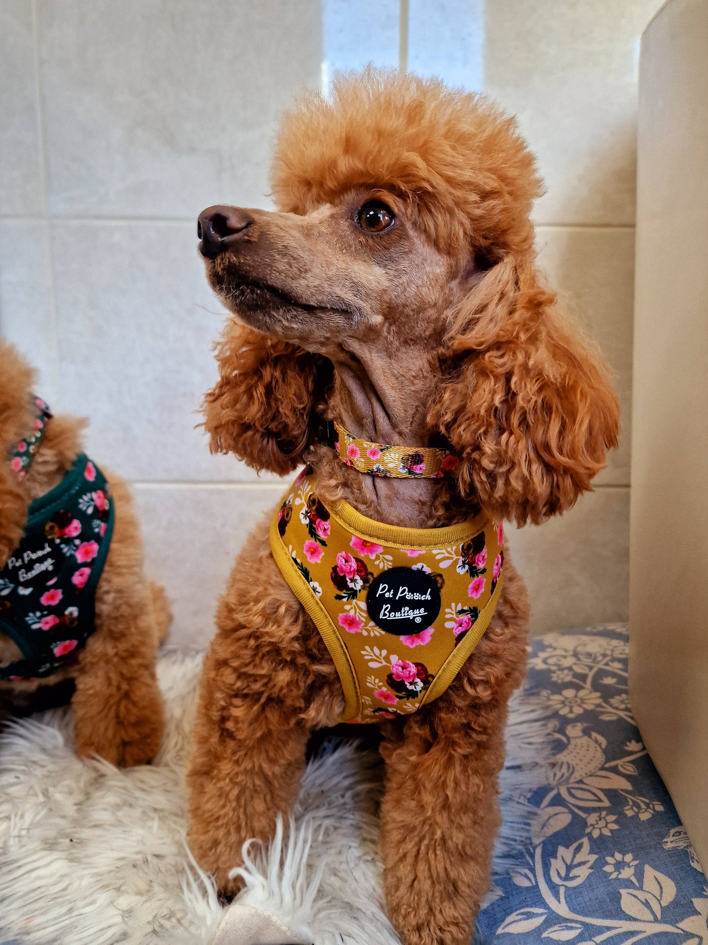 Vintage Yellow Buttercup Peonies Floral Puppy Dog Harness