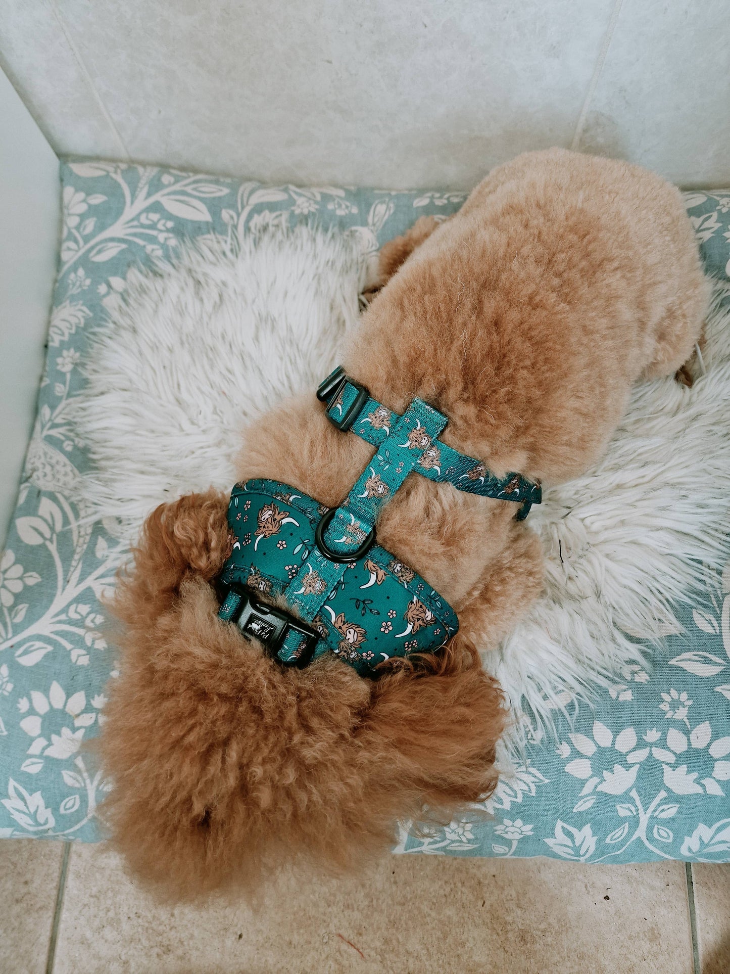 Happy Highland Cow Puppy Dog Harness (Harness Only)
