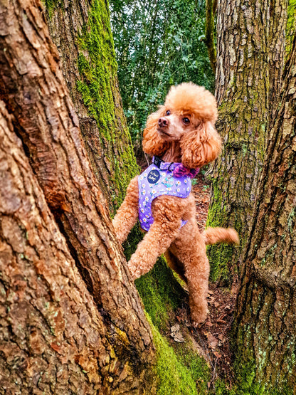Lucky Little Lavender Daisies Dog Harness (Harness Only)