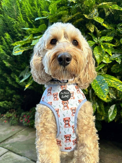 Rusty Bear Puppy Dog Collar