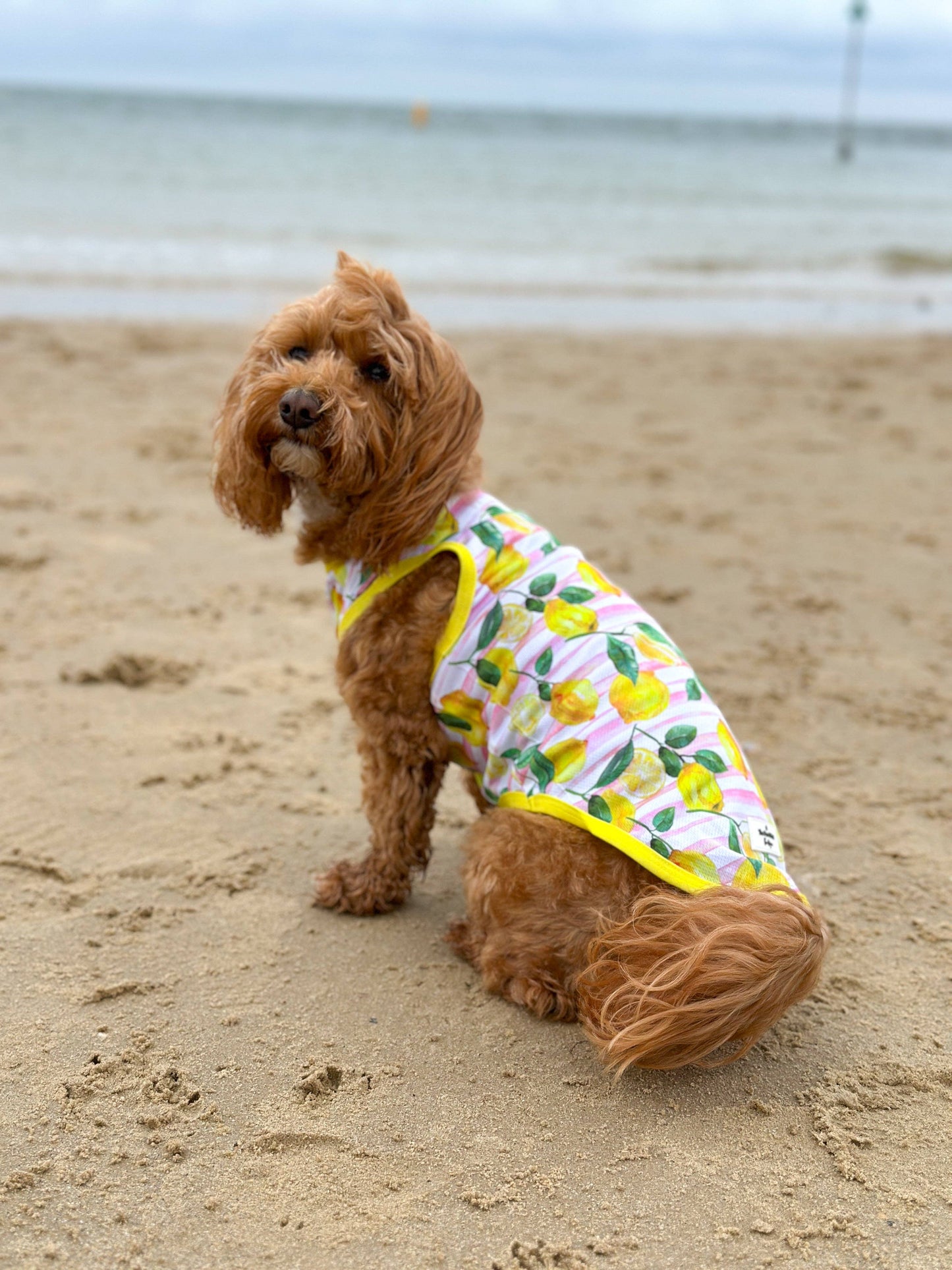 La Dolce Vita Cooling Vest