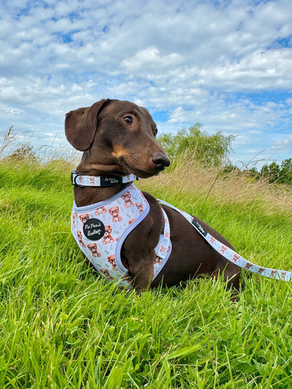 Rusty Bear Puppy Dog Collar