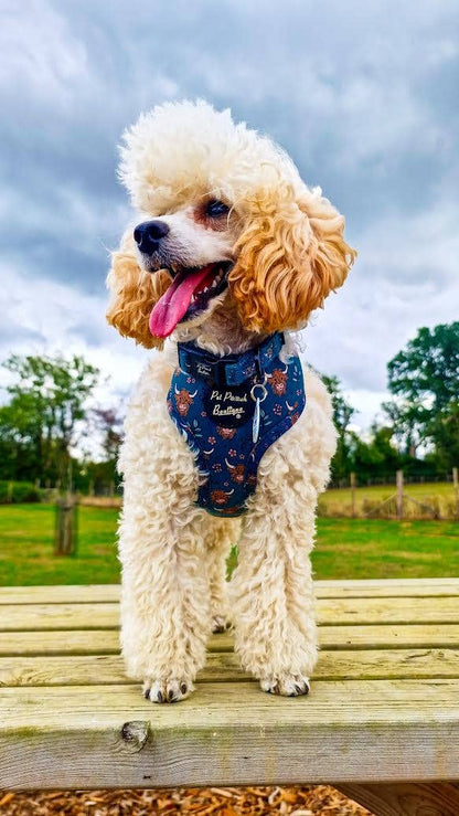 Happy Highland Cow Dog Collar